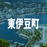 賀茂郡東伊豆町で借りれる不動産担保ローン