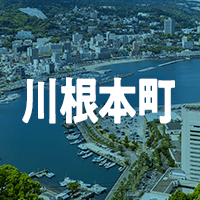 賀茂郡川根本町で借りれる不動産担保ローン