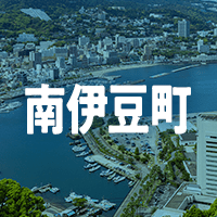 賀茂郡南伊豆町で借りれる不動産担保ローン