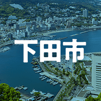 下田市で借りれる不動産担保ローン